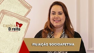 Explica Direito Filiação Socioafetiva  2019 [upl. by Dogs]